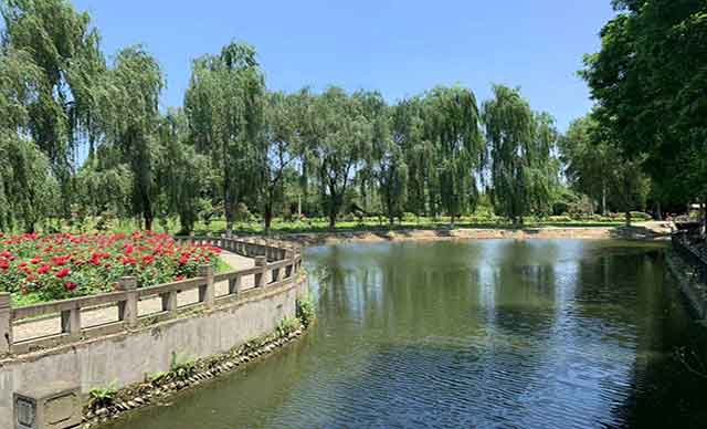 成都市·温江区·天香玫瑰緣团建基地